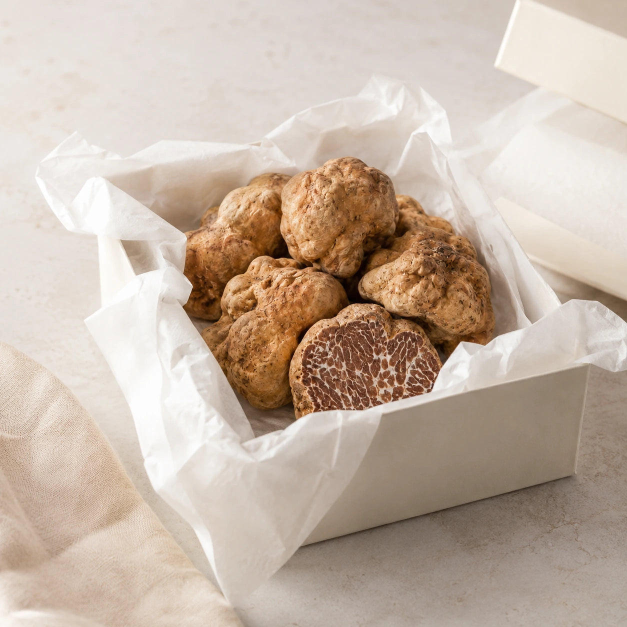 Bianchetto Truffel – Knolborchii