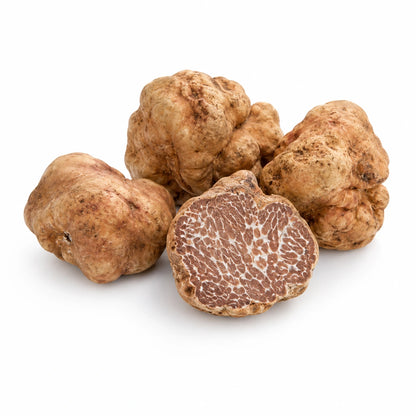 Bianchetto-Trüffel – Tuber borchii