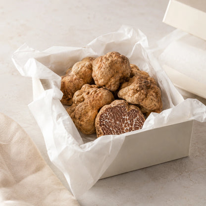 Bianchetto-Trüffel – Tuber borchii