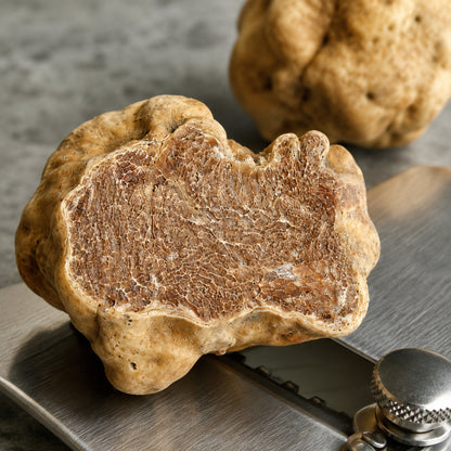 Cut Fine White Truffle Tuber magnatum Pico showing pale marbled interior and premium texture