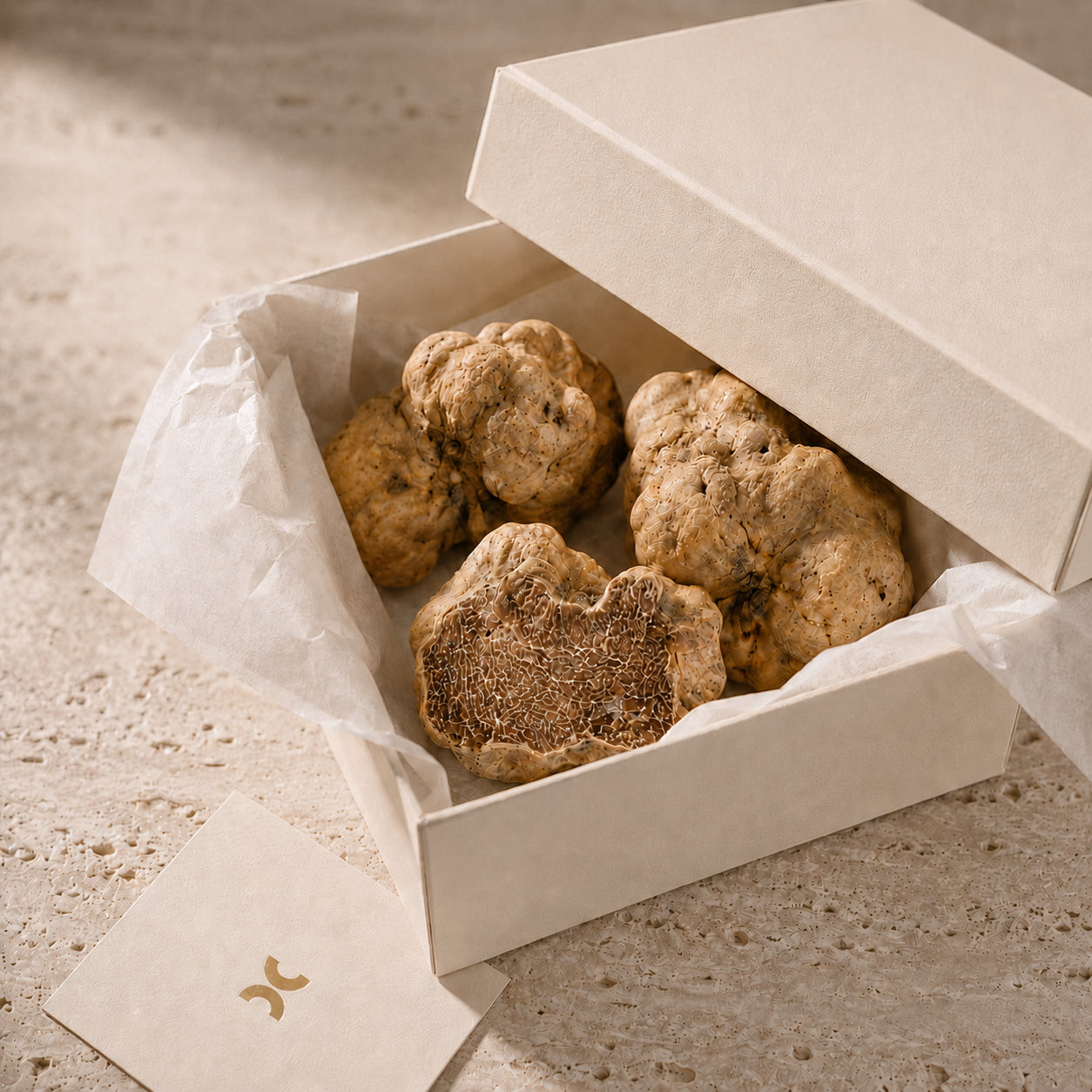 Fresh Tuber magnatum Pico white truffle selected for restaurants wholesalers and distributors