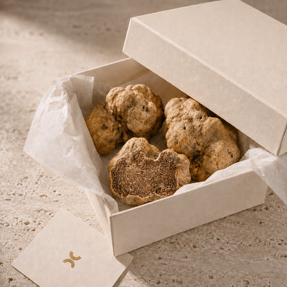 Fresh Tuber magnatum Pico white truffle selected for restaurants wholesalers and distributors