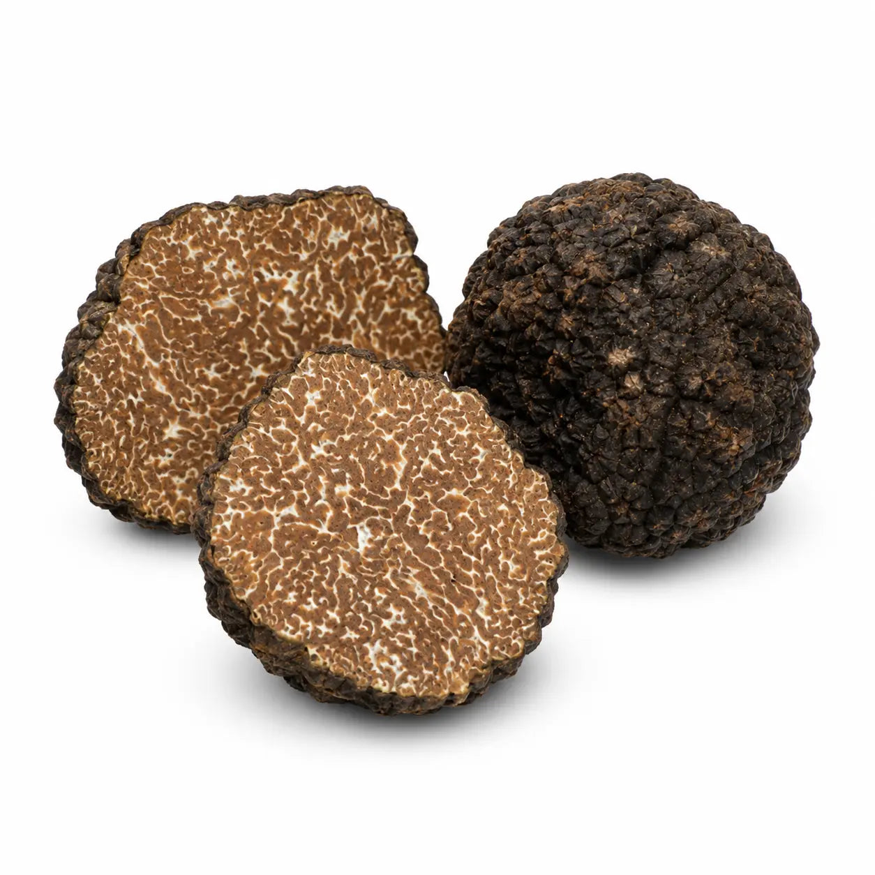 Fresh Black Autumn Truffle Tuber uncinatum with dark textured skin and marbled interior