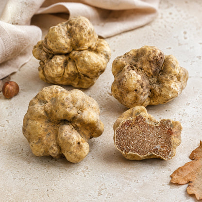 Fresh Tuber magnatum Pico white truffle with natural pale surface and seasonal ingredients